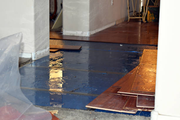 Professional Basement Flooding technician working in Blue Springs, MS